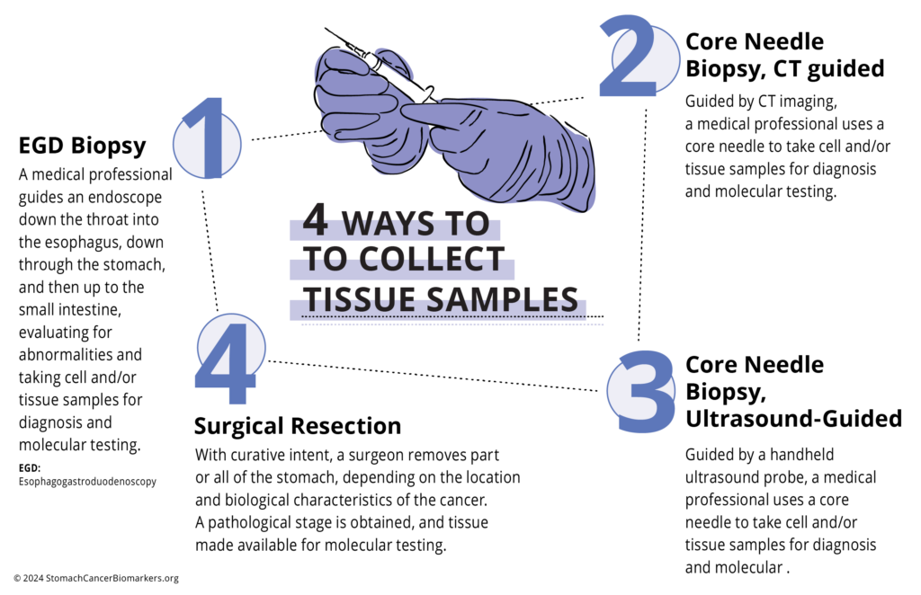Biomarker Chart - 4 Ways To Collect Tissue Sample